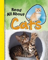 Read All About Cats цена и информация | Книги для подростков и молодежи | kaup24.ee