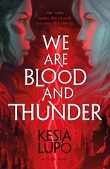 We Are Blood And Thunder цена и информация | Фантастика, фэнтези | kaup24.ee