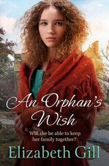 Orphan's Wish цена и информация | Фантастика, фэнтези | kaup24.ee