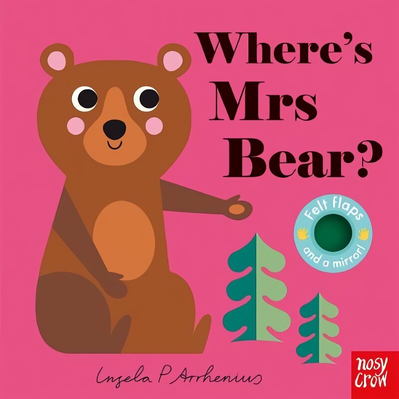 Where's Mrs Bear? цена и информация | Väikelaste raamatud | kaup24.ee