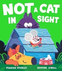 Not a Cat In Sight цена и информация | Книги для малышей | kaup24.ee