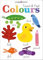 Touch and Feel Colours цена и информация | Книги для малышей | kaup24.ee