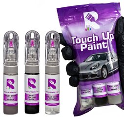 Värvikorrektor + lakk + kruntvärv Nissan Cube Purple LAB hind ja info | Auto värvikorrektorid | kaup24.ee