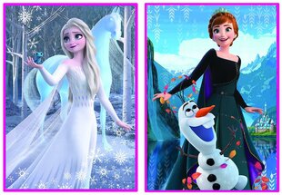 Пазлы Educa Disney Princess, 2х500 деталей цена и информация | Пазлы | kaup24.ee