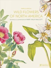 Wild Flowers of North America: Botanical Illustrations by Mary Vaux Walcott цена и информация | Книги об искусстве | kaup24.ee