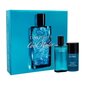 Komplekt Davidoff Cool Water: EDT meestele 75 ml + deodorantpulk 75 ml цена и информация | Meeste parfüümid | kaup24.ee