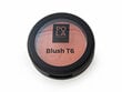 Põsepuna Pola Cosmetics Blush T6, 5,8 g цена и информация | Päikesepuudrid, põsepunad | kaup24.ee