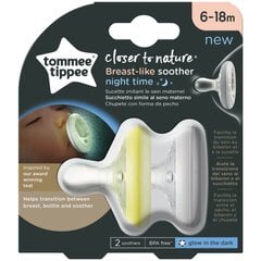 Silikoonist ortodontilised lutid Tommee Tippee Closer to nature 6-18 m., 2 tk., 433485 цена и информация | Пустышки | kaup24.ee