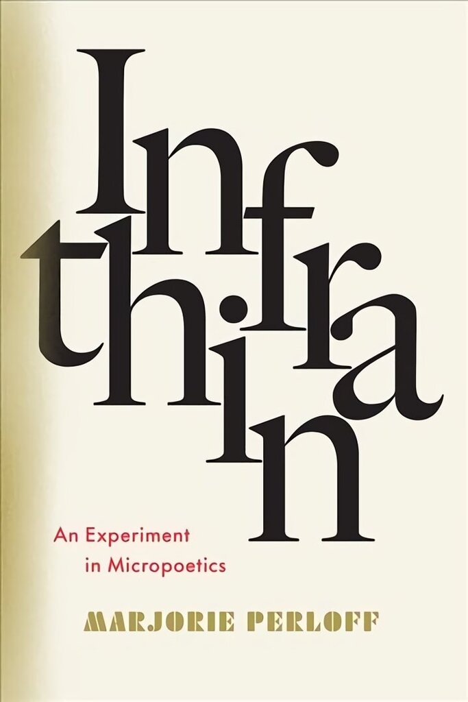 Infrathin: An Experiment in Micropoetics цена и информация | Ajalooraamatud | kaup24.ee