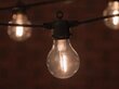 LED lambiketi WW-10, Stardikomplekt hind ja info | Jõulutuled | kaup24.ee