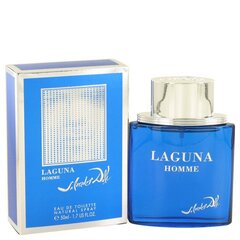 Tualettvesi Salvador Dali Laguna Homme EDT meestele 50 ml hind ja info | Salvador Dali Kosmeetika, parfüümid | kaup24.ee