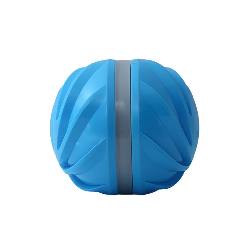 Cheerble interaktiivne pall, sinine hind ja info | Mänguasjad koertele | kaup24.ee