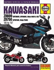 Kawasaki ZX600 Ninja цена и информация | Путеводители, путешествия | kaup24.ee