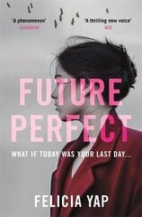 Future Perfect: The Most Exciting High-Concept Novel of the Year hind ja info | Fantaasia, müstika | kaup24.ee