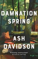 Damnation Spring цена и информация | Фантастика, фэнтези | kaup24.ee