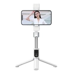 Selfipulk Remax P13 Dual-Light selfie stick – seisev kaina ir informacija | Mobiiltelefonide lisatarvikud | kaup24.ee