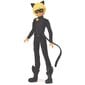 Nukk Miraculous - Superhero Secret - Transform Adrien to Cat Noir! цена и информация | Poiste mänguasjad | kaup24.ee