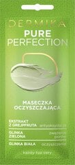 Очищающая маска для лица Dermika Pure Perfection, 10 мл цена и информация | Маски для лица, патчи для глаз | kaup24.ee