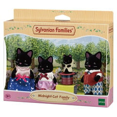 Семья черных котят Sylvanian Families цена и информация | Игрушки для девочек | kaup24.ee