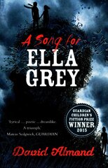 Song for Ella Grey цена и информация | Книги для подростков и молодежи | kaup24.ee