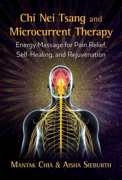 Chi Nei Tsang and Microcurrent Therapy: Energy Massage for Pain Relief, Self-Healing, and Rejuvenation hind ja info | Eneseabiraamatud | kaup24.ee