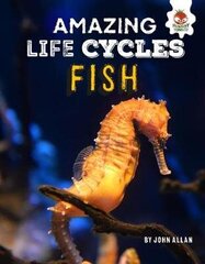 Fish - Amazing Life Cycles цена и информация | Книги для подростков и молодежи | kaup24.ee