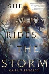 She Who Rides the Storm цена и информация | Книги для подростков и молодежи | kaup24.ee