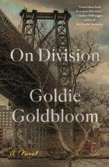 On Division: A Novel цена и информация | Фантастика, фэнтези | kaup24.ee