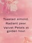 Victoria's Secret Velvet Petals Golden kehakreem, 236 ml hind ja info | Kehakreemid, losjoonid | kaup24.ee