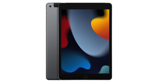 iPad 9 10.2" 64GB WiFi + Cellular Space Gray (uuendatud, seisukord A) hind ja info | Tahvelarvutid | kaup24.ee