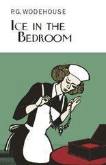 Ice in the Bedroom цена и информация | Фантастика, фэнтези | kaup24.ee