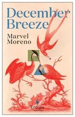 December Breeze: A masterful novel on womanhood in Colombia hind ja info | Fantaasia, müstika | kaup24.ee