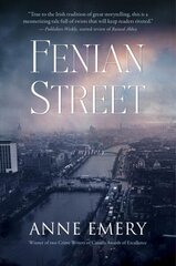 Fenian Street: A Mystery цена и информация | Фантастика, фэнтези | kaup24.ee