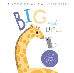 Big and Little: A Book of Animal Opposites hind ja info | Väikelaste raamatud | kaup24.ee