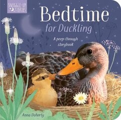 Bedtime for Duckling hind ja info | Väikelaste raamatud | kaup24.ee