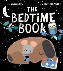 Bedtime Book цена и информация | Книги для малышей | kaup24.ee