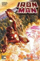 Iron Man Vol. 1 hind ja info | Fantaasia, müstika | kaup24.ee