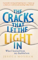 Cracks that Let the Light In: What I learned from my disabled son цена и информация | Самоучители | kaup24.ee