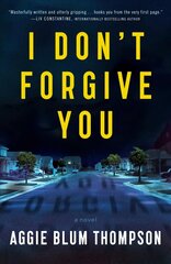 I Don't Forgive You цена и информация | Фантастика, фэнтези | kaup24.ee