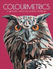 Colourmetrics: A Geometric Colour by Numbers Challenge цена и информация | Книги для малышей | kaup24.ee