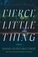 Fierce Little Thing: A Novel hind ja info | Fantaasia, müstika | kaup24.ee