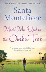 Meet Me Under the Ombu Tree цена и информация | Фантастика, фэнтези | kaup24.ee