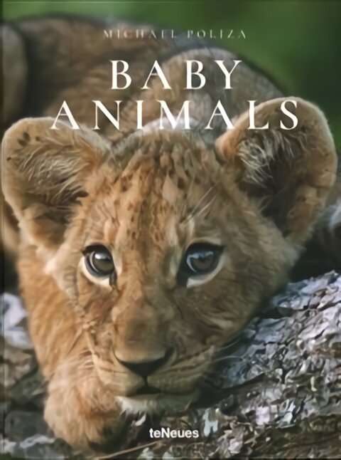 Baby Animals Revised edition hind ja info | Fotograafia raamatud | kaup24.ee