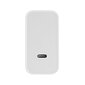 OnePlus SuperVOOC, USB-C PD 160W white hind ja info | Mobiiltelefonide laadijad | kaup24.ee