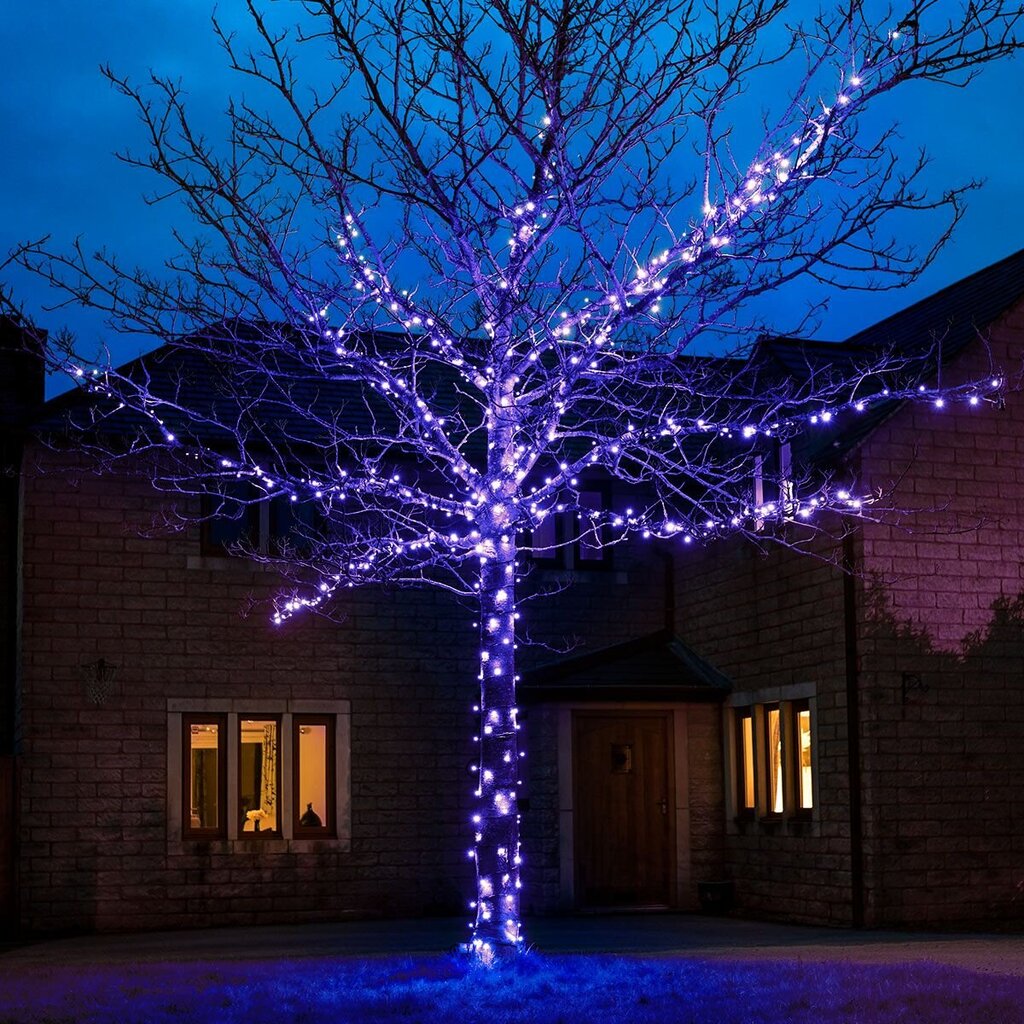 300 LED valguskett SPC625, sinine, 30 m hind ja info | Jõulutuled | kaup24.ee