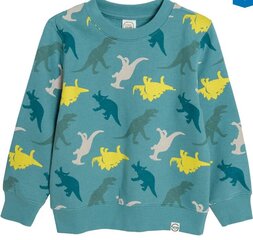 Cool Club свитер для мальчиков, CCB2513420 цена и информация | Свитеры, жилетки, пиджаки для мальчиков | kaup24.ee
