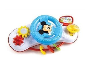 Arendav mänguasi Clementoni baby Rool hind ja info | Imikute mänguasjad | kaup24.ee