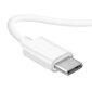 Dudao X3C, USB Type-C, valge hind ja info | Kõrvaklapid | kaup24.ee