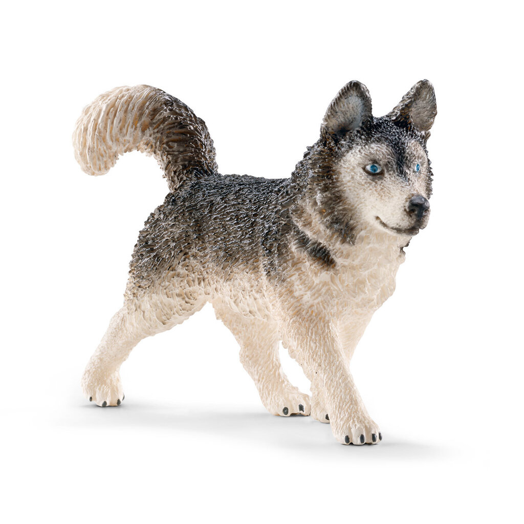 SCHLEICH Husky hind ja info | Poiste mänguasjad | kaup24.ee