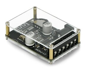 DFRobot DFR0675-EN, модуль усилителя звука с Bluetooth 5.0 цена и информация | Электроника с открытым кодом | kaup24.ee